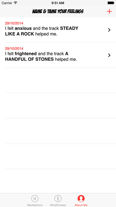 iPhone Screenshot 3