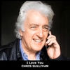 I Love You - Single, <b>Chris Sullivan</b> - cover100x100