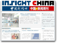 中国インサイト