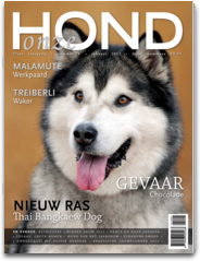 Onze Hond