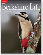 Berkshire Life
