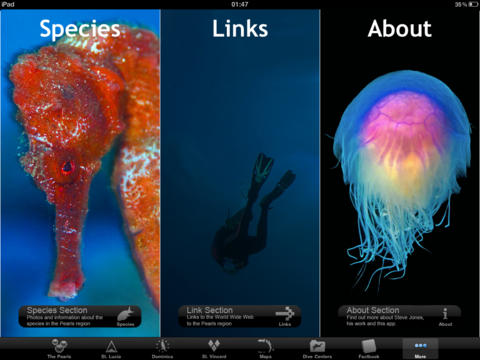 iPad Screenshot 5