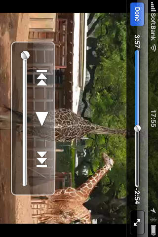 iPhone Screenshot 2
