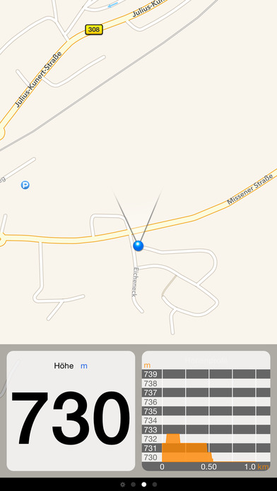 iPhone Screenshot 2
