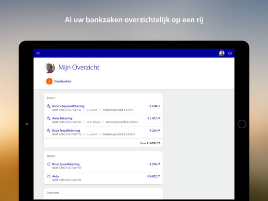 iPad schermafdruk 1