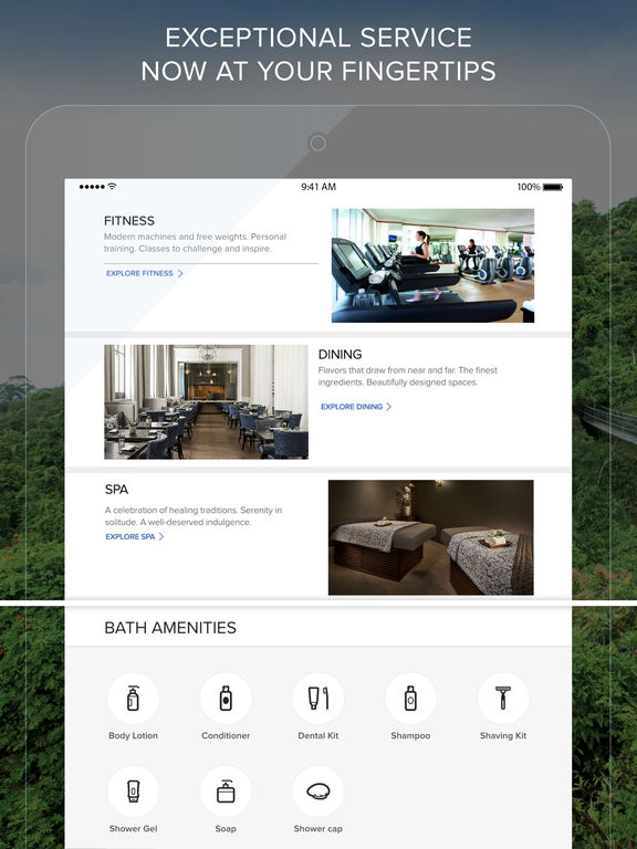 iPad Screenshot 3