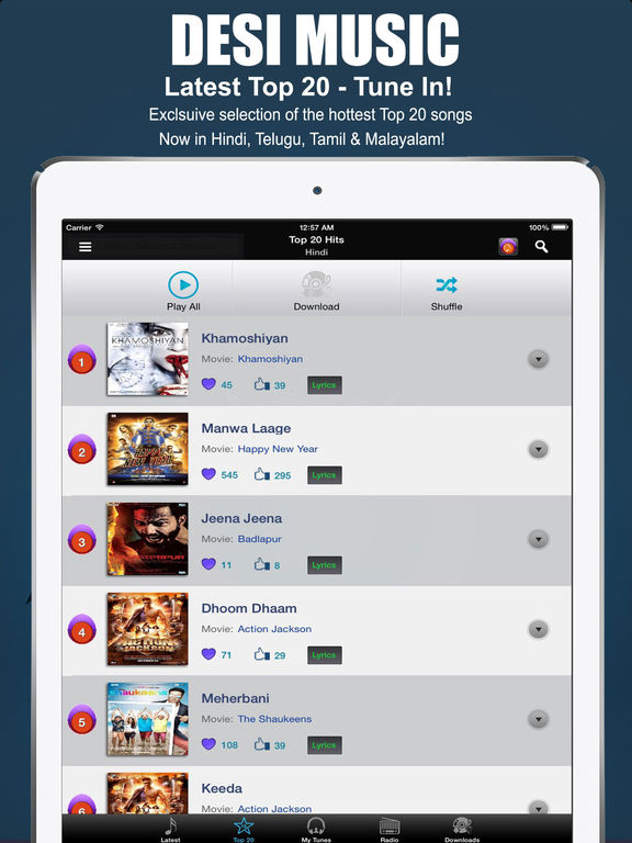 iPad Screenshot 5