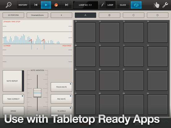iPad Screenshot 4