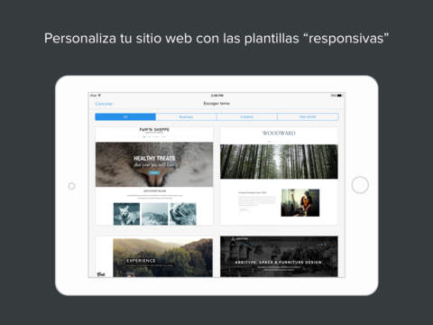 Captura de pantalla del iPad 5