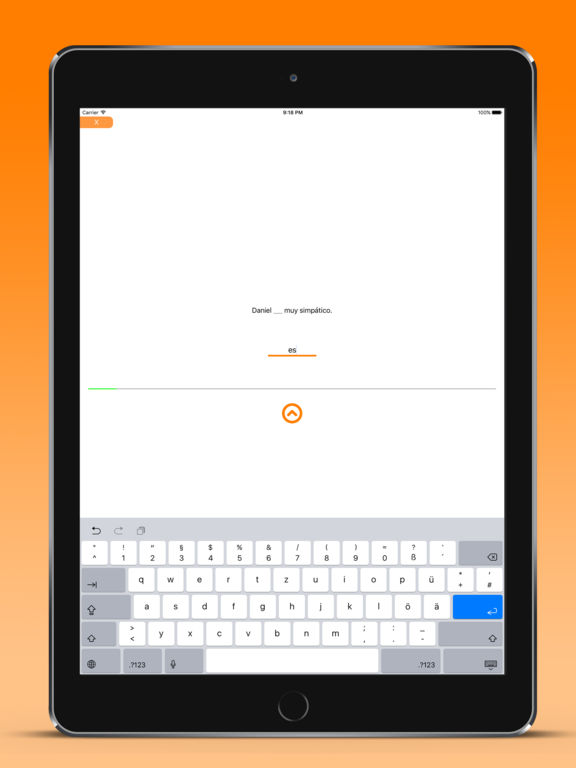 iPad Screenshot 5
