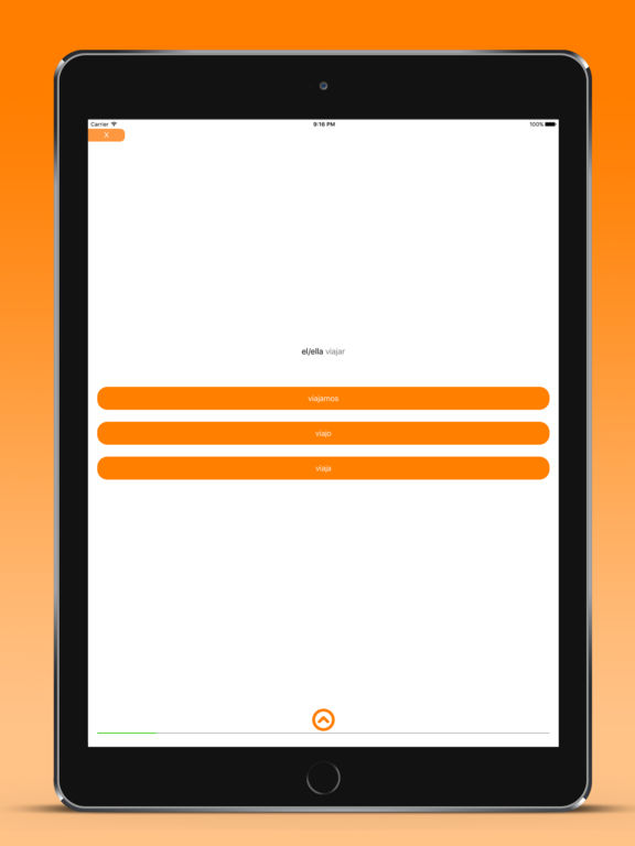 iPad Screenshot 3