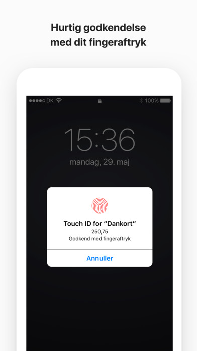 iPhone Screenshot 3