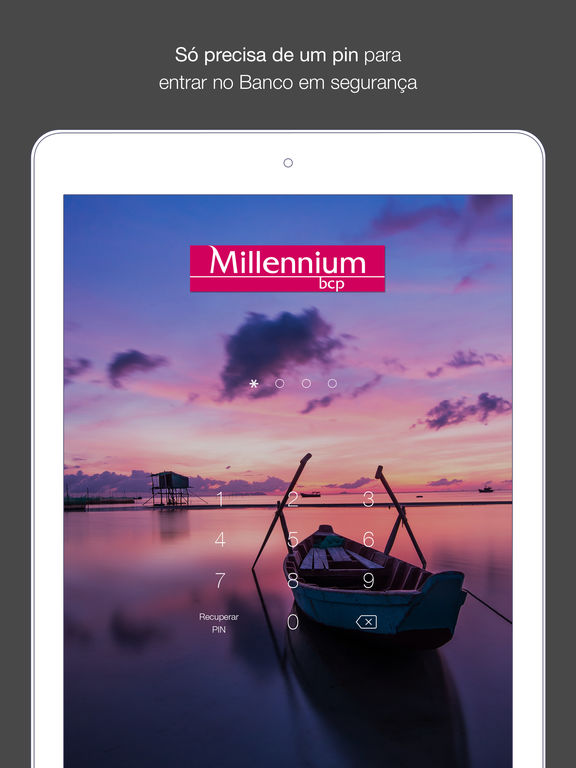 iPad Screenshot 2