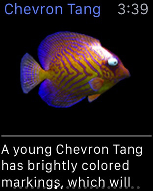 TouchFish Apple Watch
