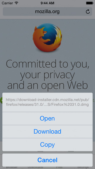 iPhone Screenshot 1