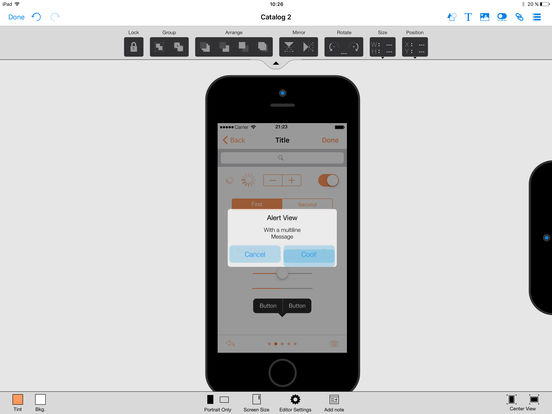 iPad Screenshot 5