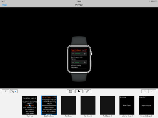 iPad Screenshot 4