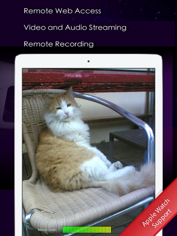 iPad Screenshot 1