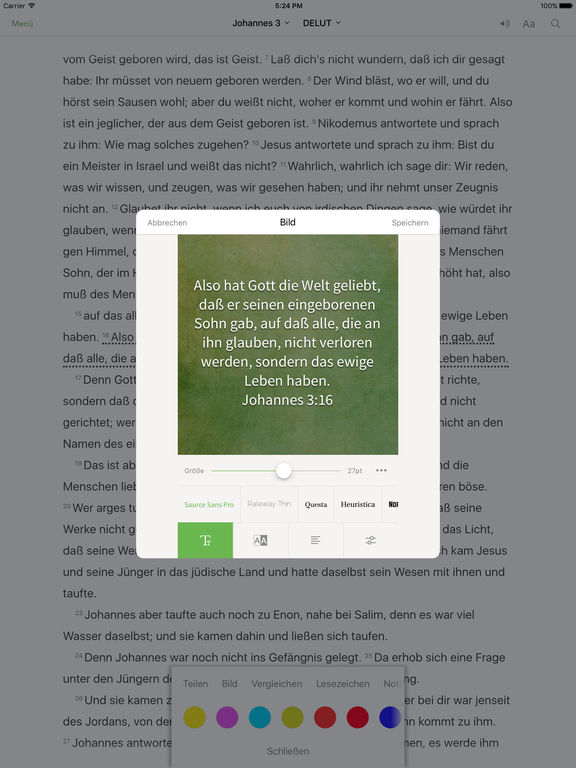 iPad Screenshot 4
