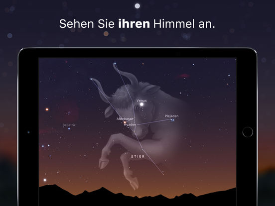 iPad Screenshot 1