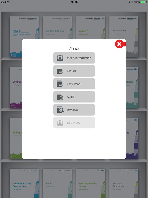 iPad Screenshot 3