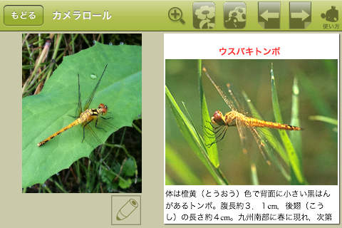 図鑑カメラのおすすめ画像4