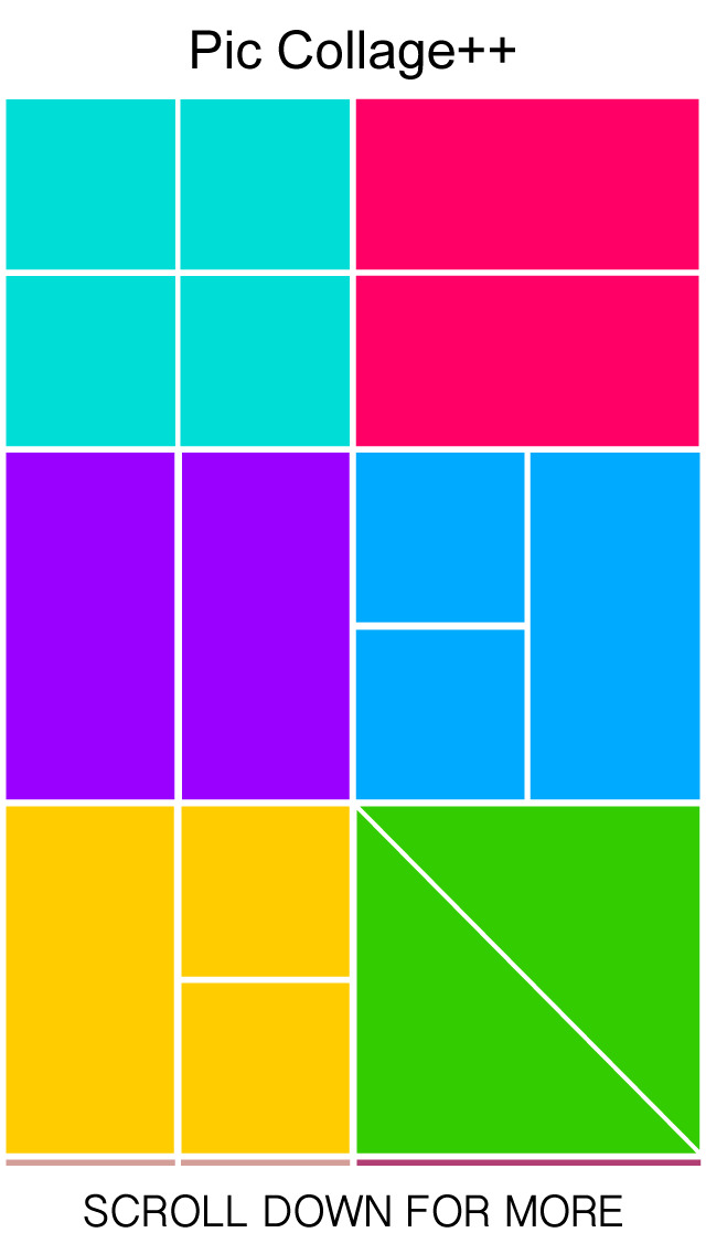 ss1