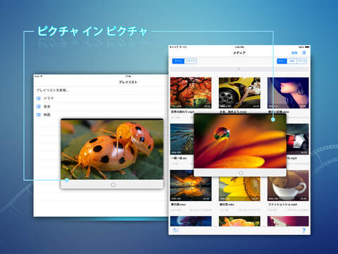 Media Player Pro - iOS対応、最強にパワフルな映画、動画、音楽プレイヤーのおすすめ画像5