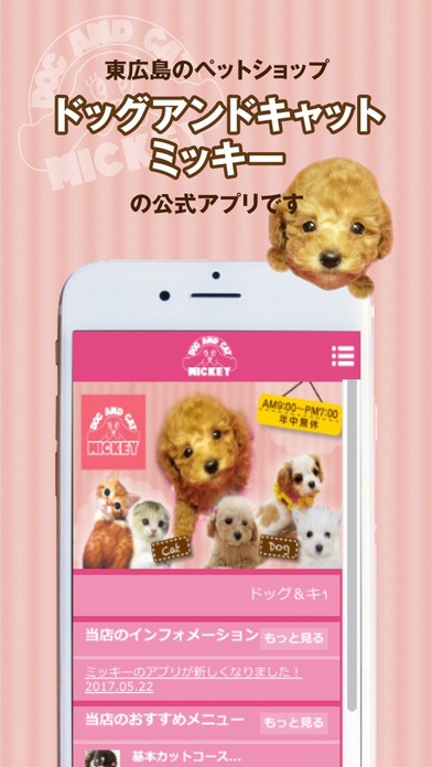 iPhone Screenshot 1