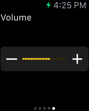 iPhone スクリーンショット 5