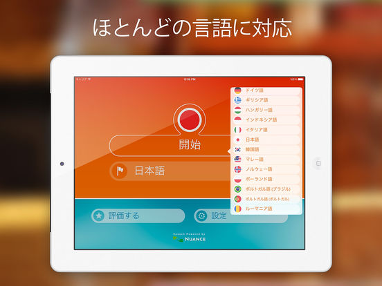 iPad スクリーンショット 3