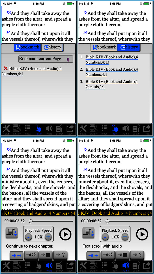 Bible KJV (Book and A... screenshot1