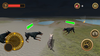 Cat Survival Simulator screenshot1