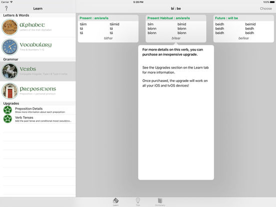 iPad Screenshot 4