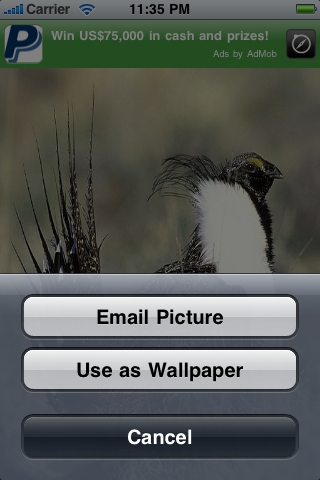 Wildlife Album free app screenshot 3