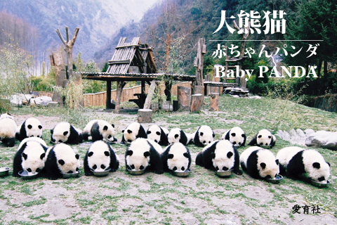壁紙