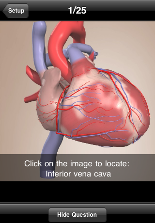 Free Primal Anatomy Quiz free app screenshot 4