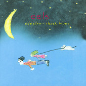 P.S. You Rock My World - Eels