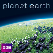 Planet Earth, Series 1 artwork