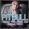 I Know You Want Me (Calle Ocho) - EP, Pitbull