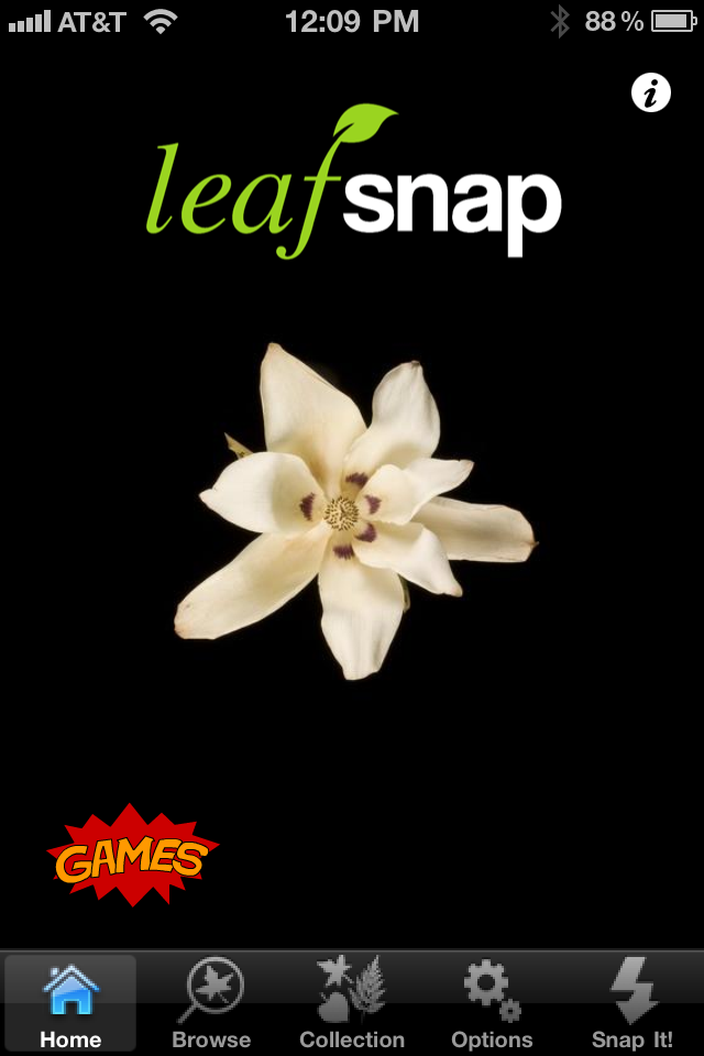 Image of Leafsnap