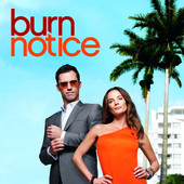 Burn Notice, Season 2 artwork
