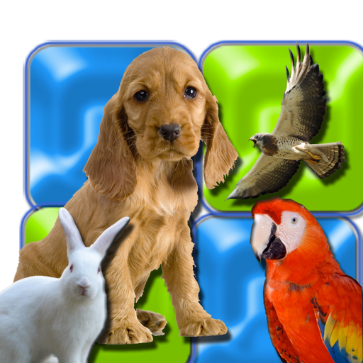 free Musical Flash Cards - Animals images sounds and words for kids HD iphone app