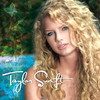 Taylor Swift (Bonus Track Version), Taylor Swift