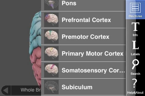 3D Brain free app screenshot 4