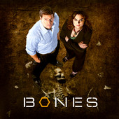 Bones, Season 1 artwork