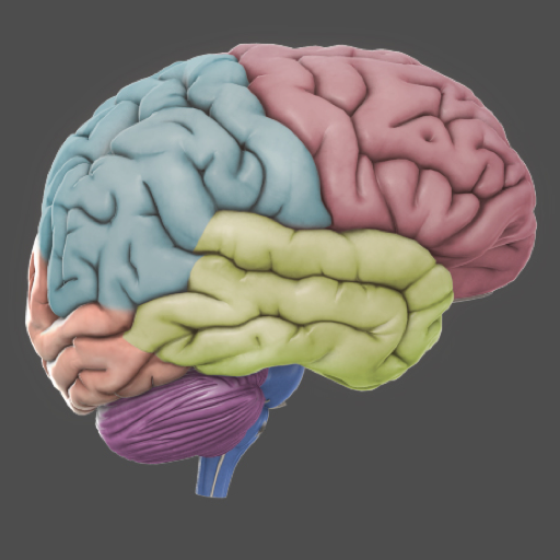 free 3D Brain iphone app