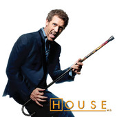 House, Season 4 artwork