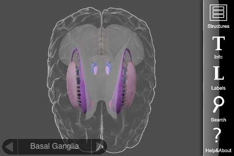 3D Brain free app screenshot 2