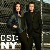 CSI: NY, Season 9artwork